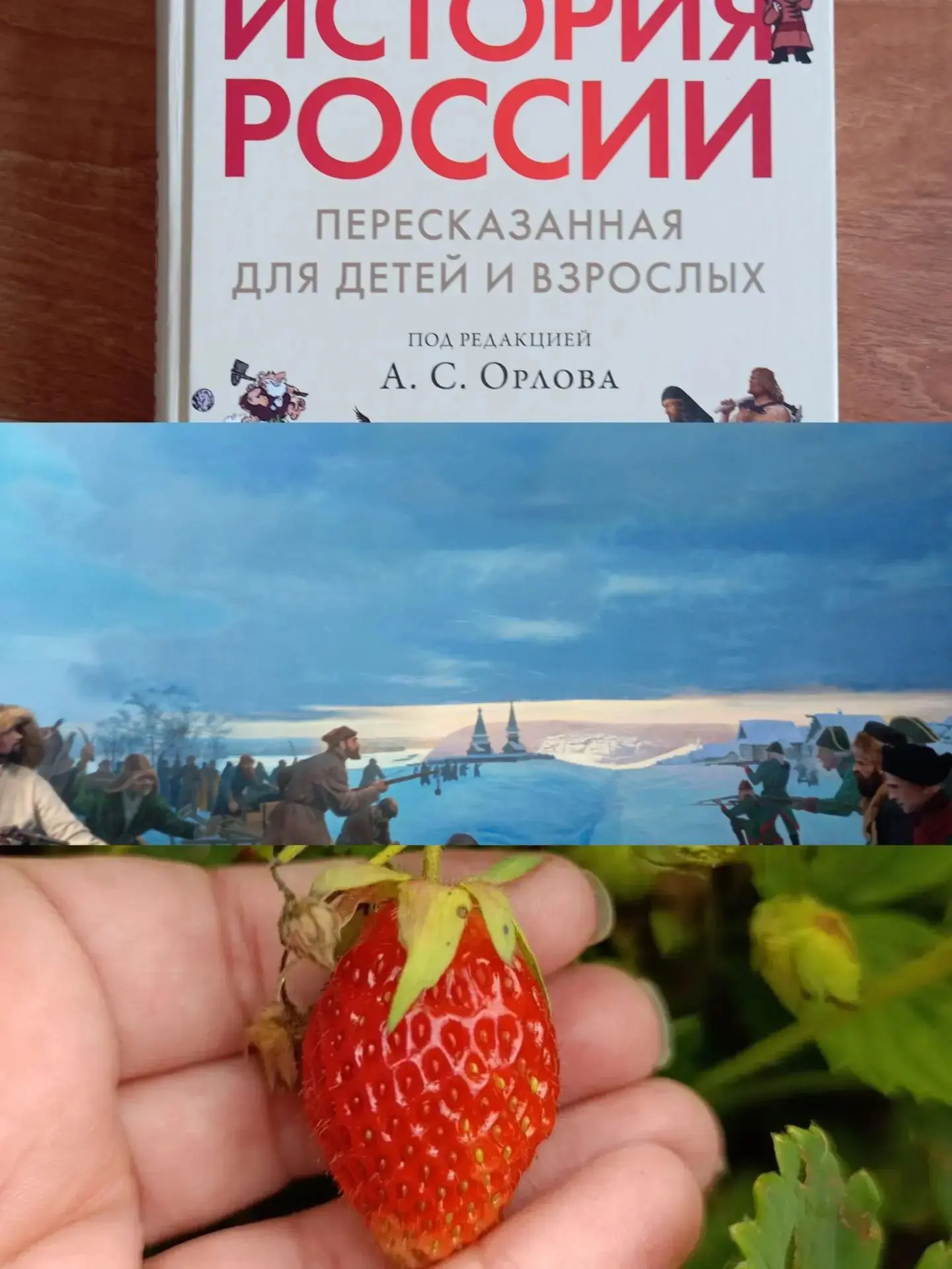 Белый цвет