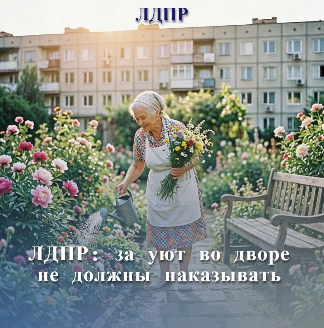 ЛДПР борется с абсурдными штрафами ‼️