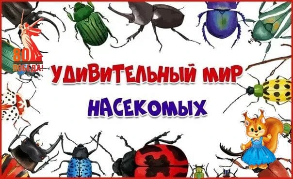 21 июля - День насекомых в нашем саду. Всё началось с увлекательной беседы "Кто такие насекомые".Реб