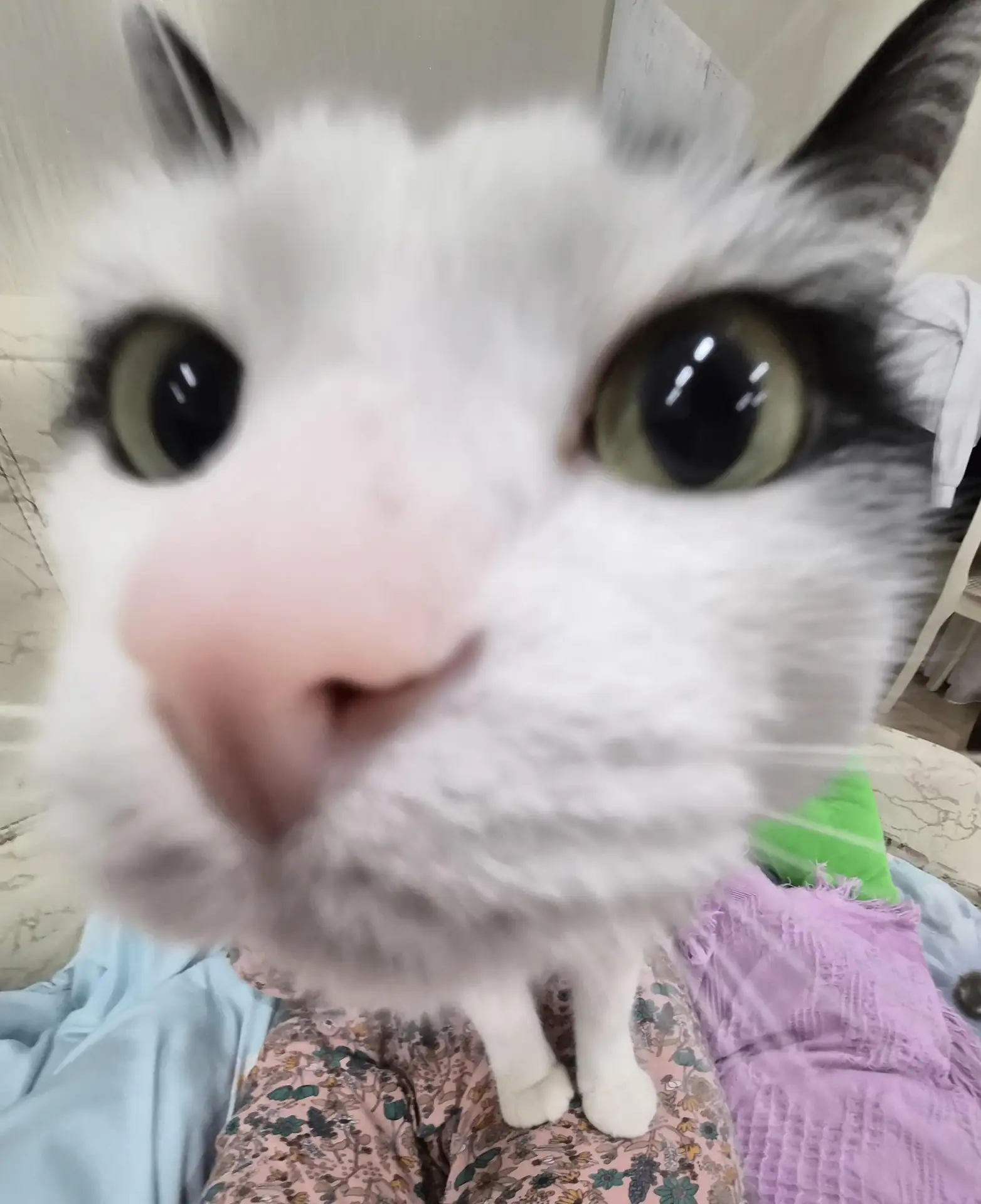 Буп 😸
