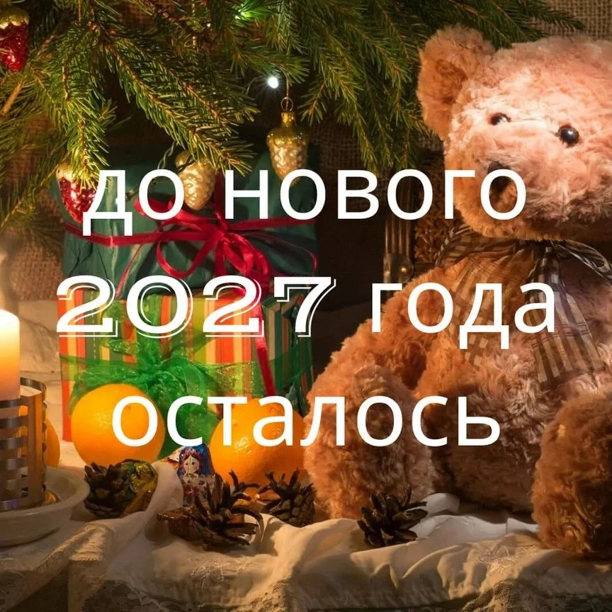 А кто помнит сколько дней осталось до главной волшебной ночи 2026 года❓❗️❗️❗️