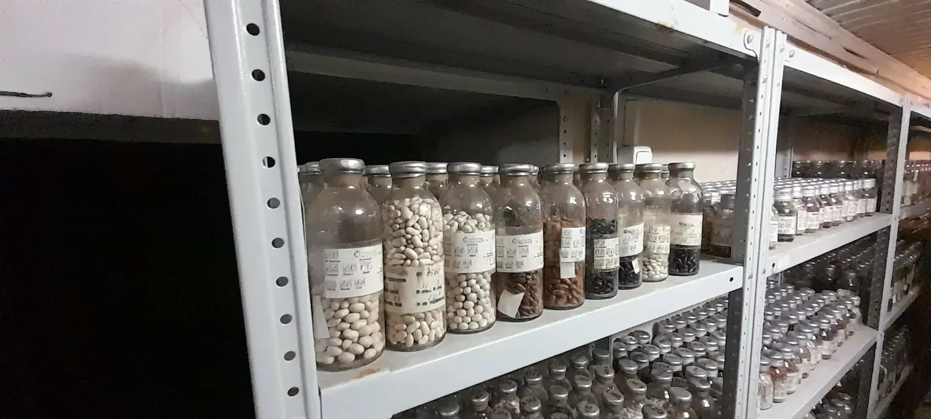 ⚡️ В Якутске начался эксперимент по длительному хранению продуктов в криохранилище