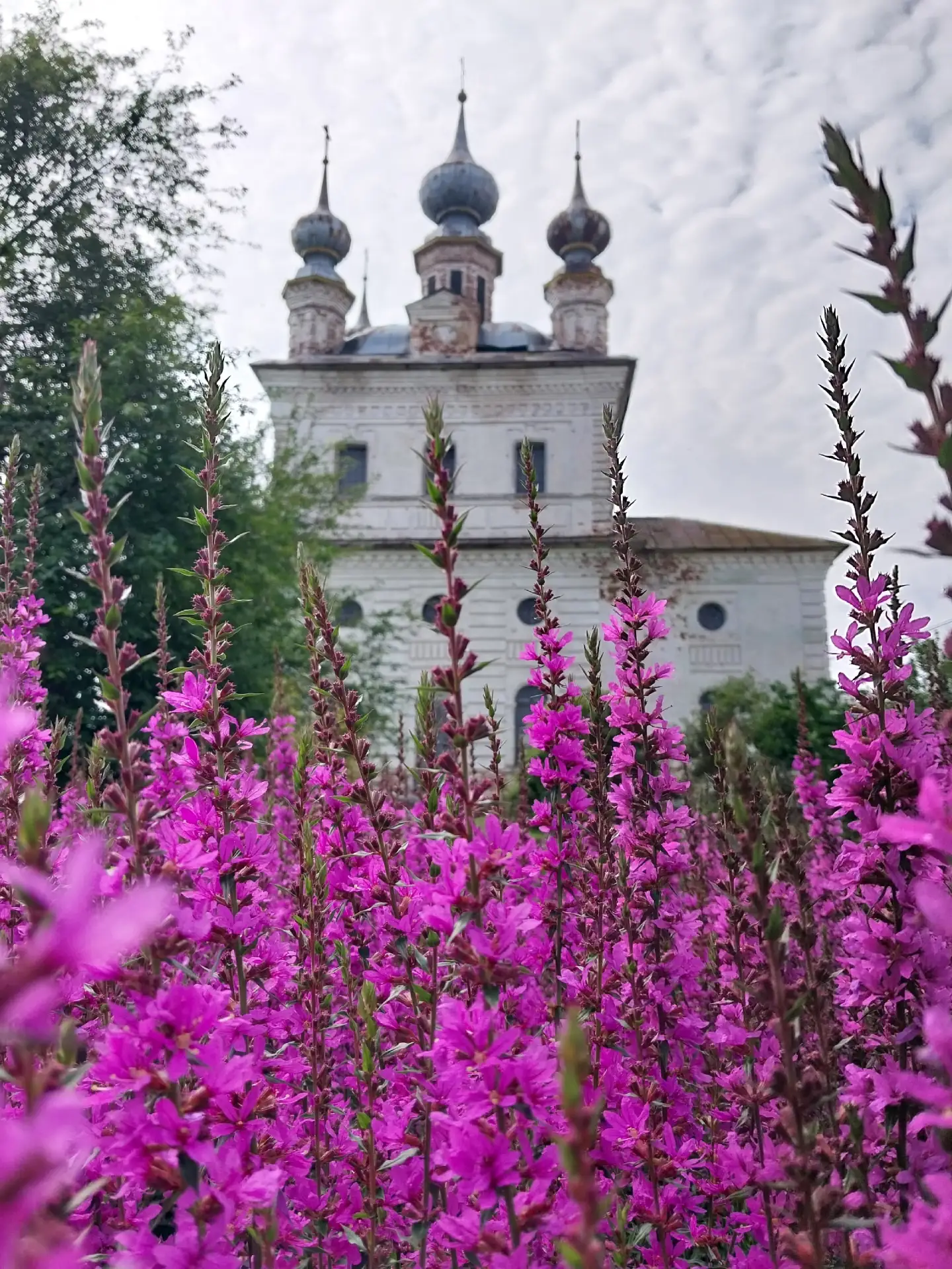 Красота территории Михайло-Архангельского монастыря 🌸