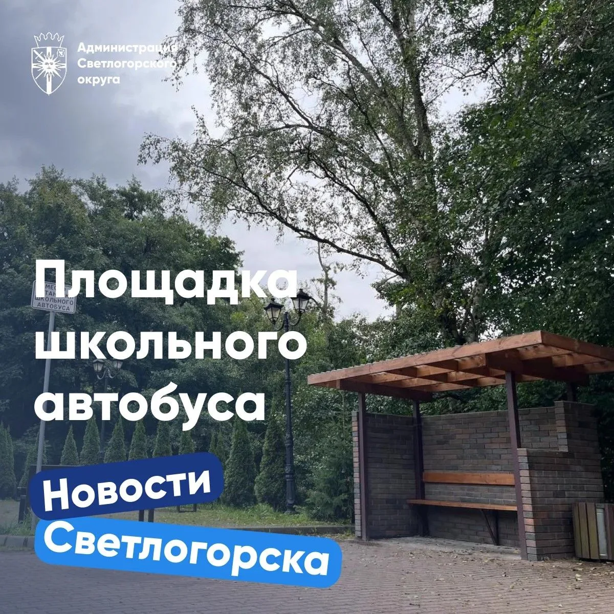 ‼️В администрации Светлогорска напомнили, что остановка школьного автобуса у Сербского ...