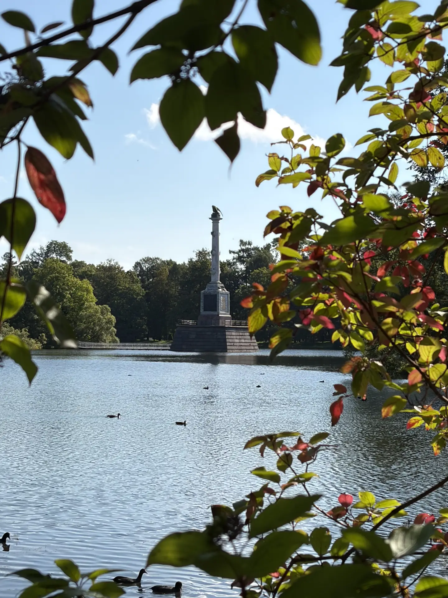 🍁 На фоне тотальных дождей даже не верится, что начало недели было таким вдохновляющим.
