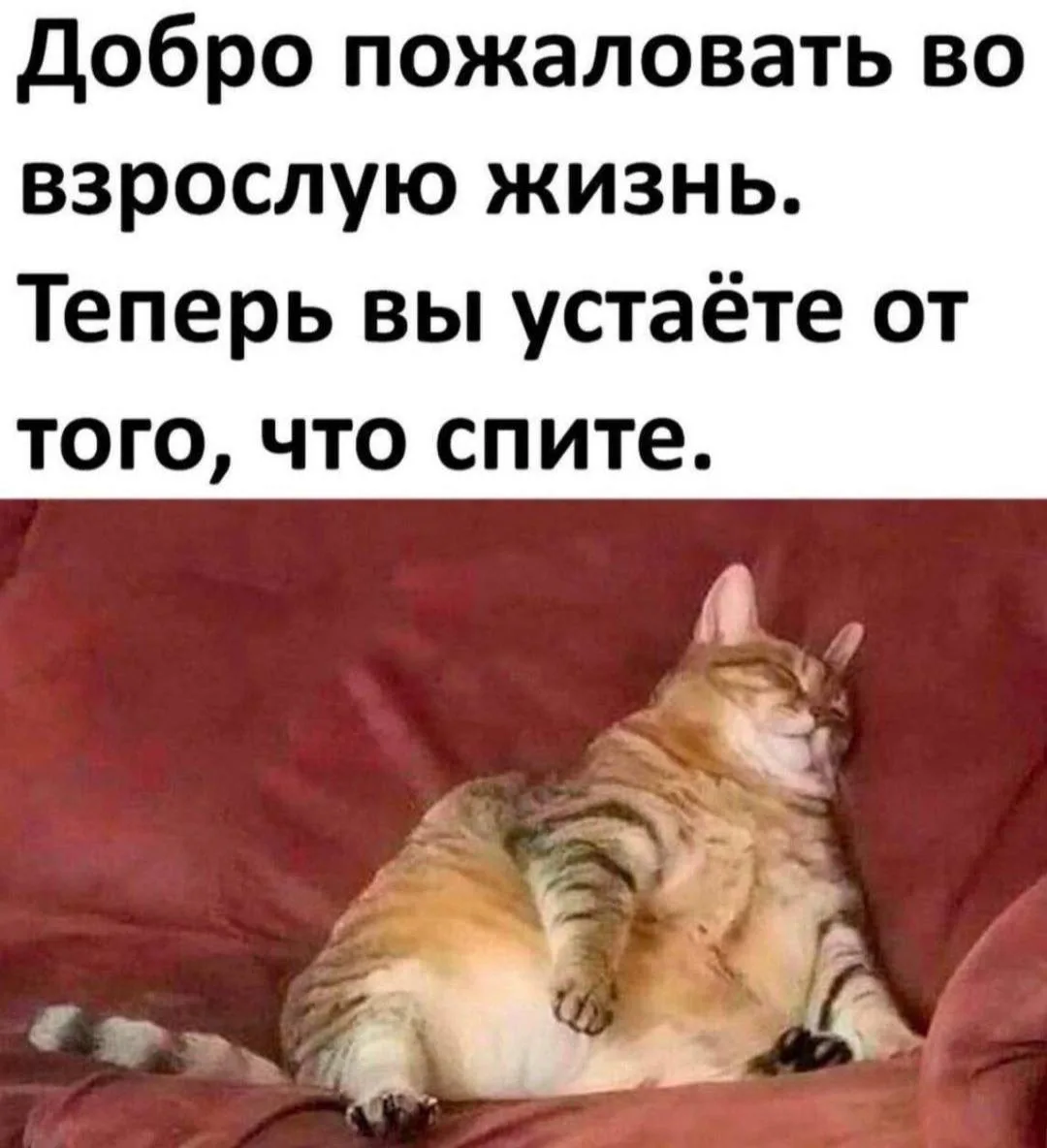 Понедельник