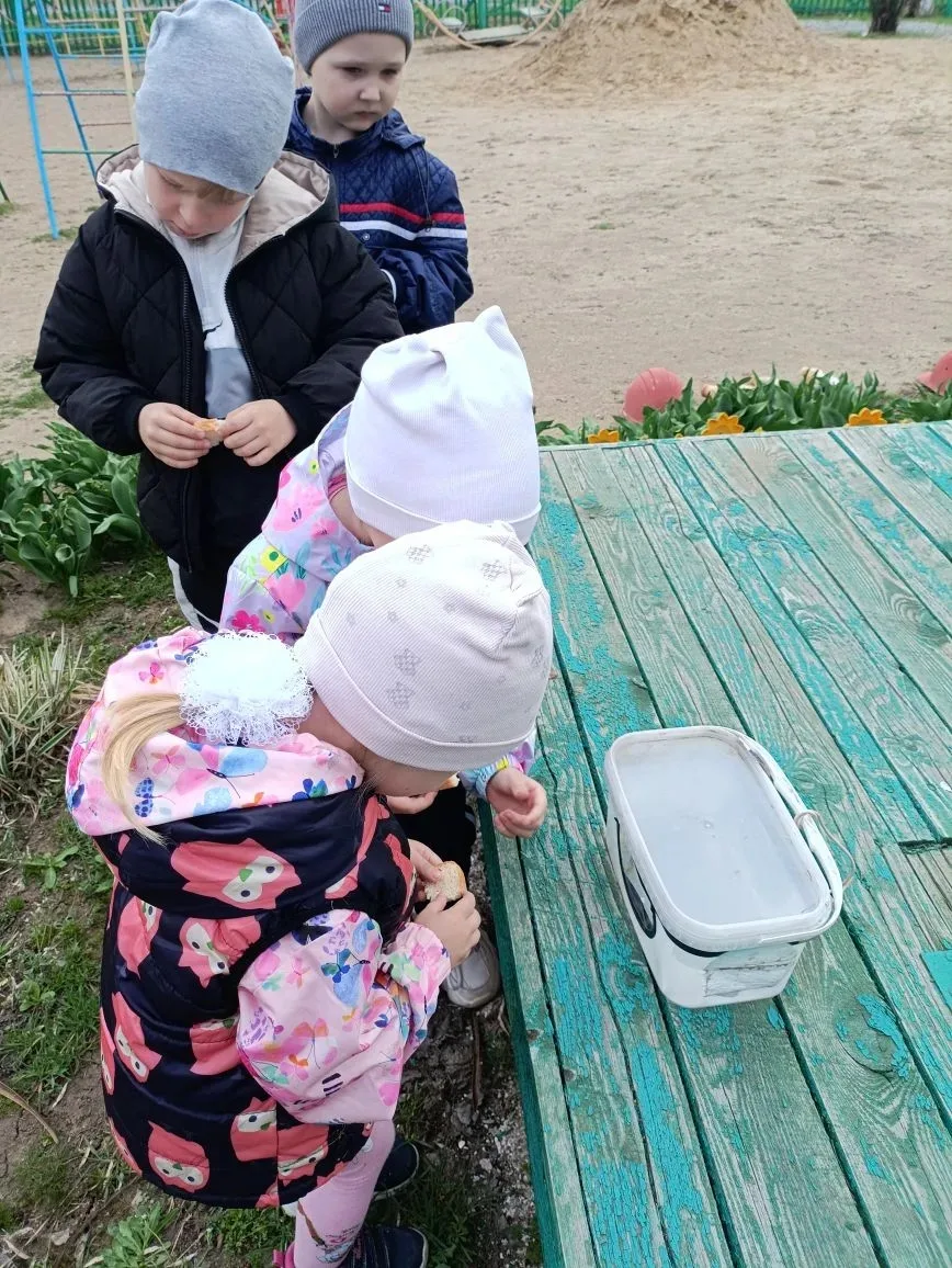 #День Птиц#Ростовскаяобласть#ДниЗащитыотЭкологическойОпасности