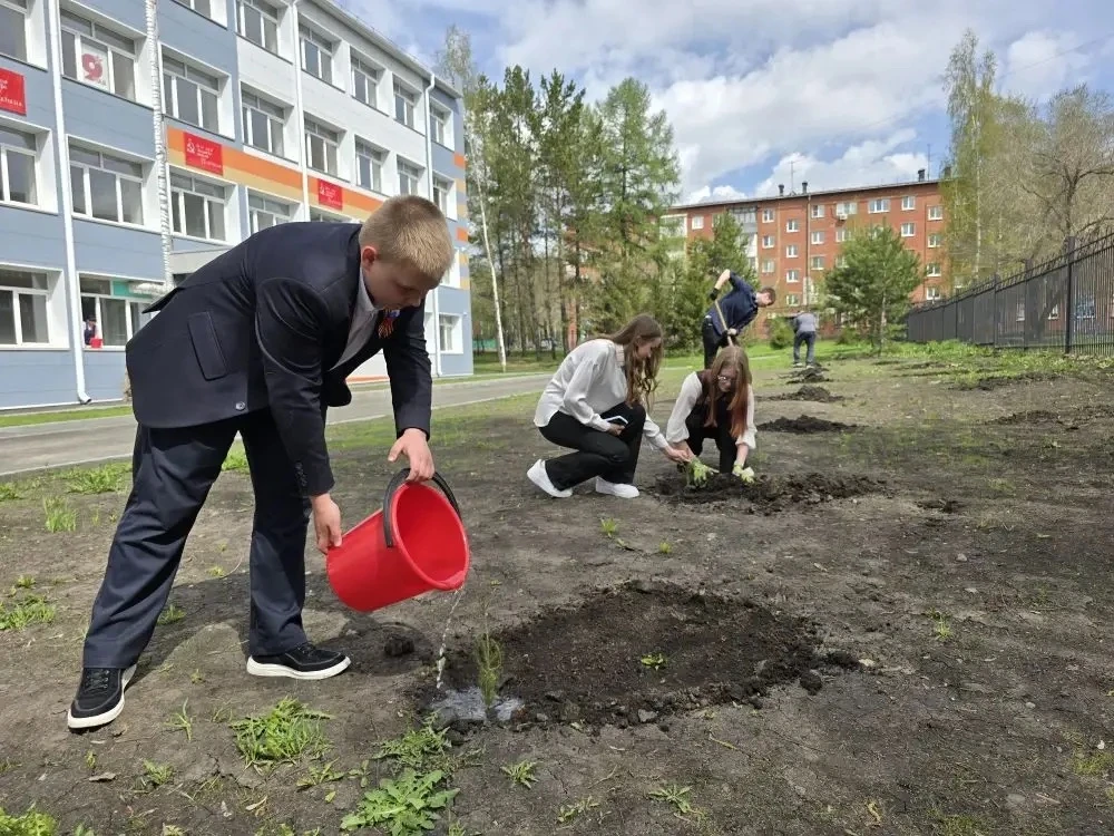 ЖИВАЯ ПАМЯТЬ РУКАМИ ЛИЦЕИСТОВ  🌲 В преддверии 81-й годовщины Великой Победы старшеклассники нашего л