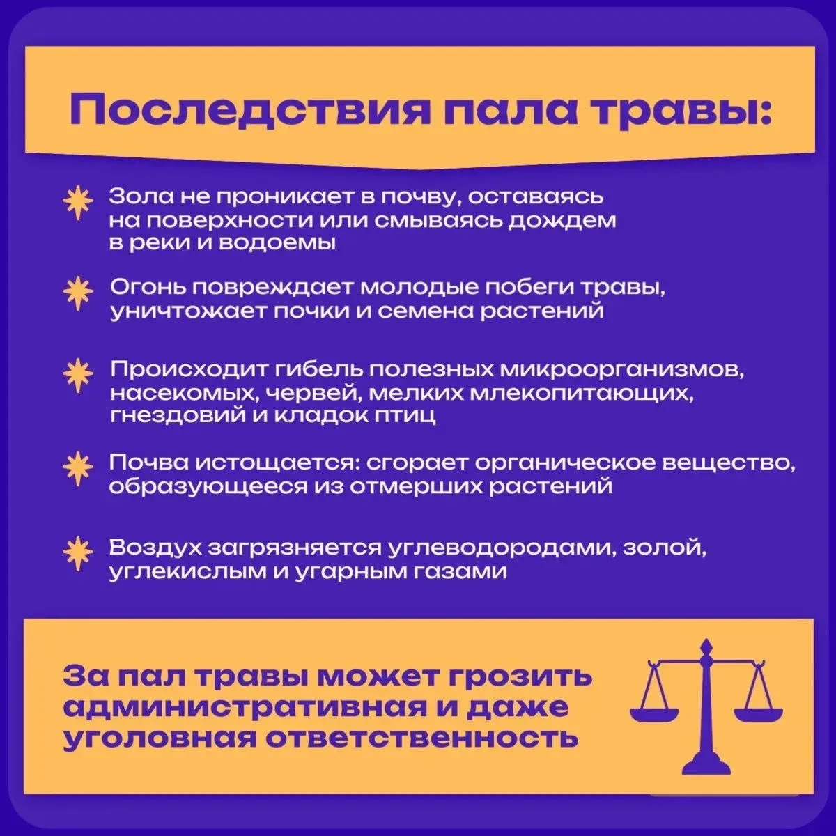 🔥 Пал травы: почти всегда виноваты мы сами.  Сухая трава вспыхивает мгновенно - от непотушенного кос