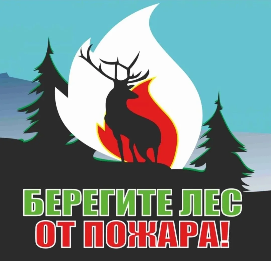 Берегите лес!