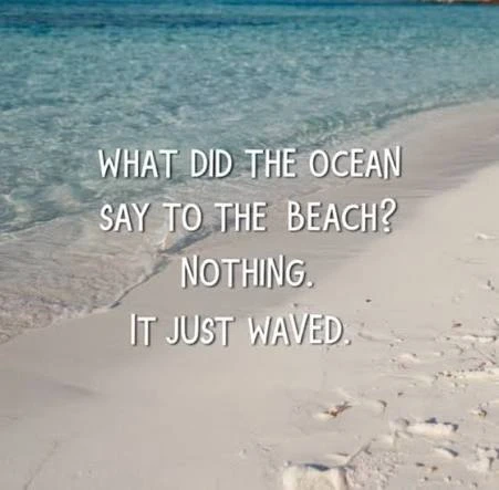 What did the ocean say to the beach? Nothing, it just waved.
Шутка основана на превосходной игре сло