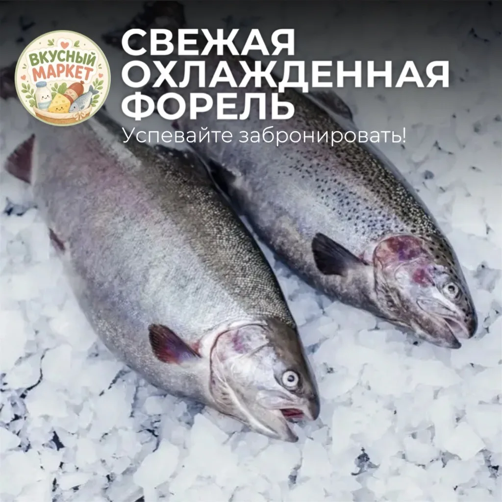 🐟 Кто хочет свежую, охлаждённую, сочную форель? Открываем сбор!
