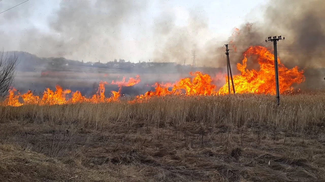 🔹Не жгите траву - берегите жизнь и имущество
