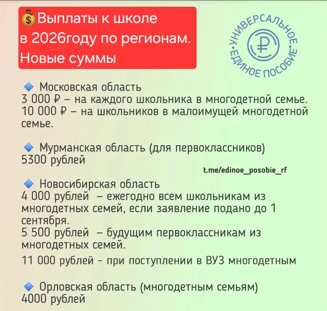 Изображение 8 к публикации «Единое пособие | ПОСОБИЯ»