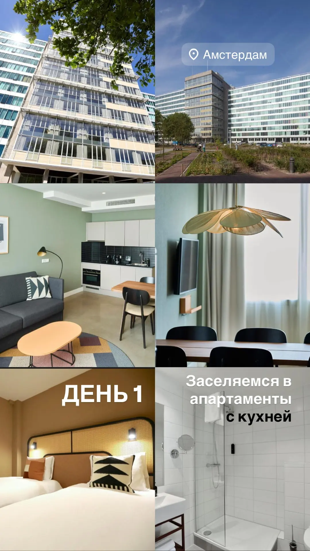 Подружки, приглашаю в контент-тур на тюльпановые поля Голландии 21-27 апреля!🌷  Каждую весну я посещ