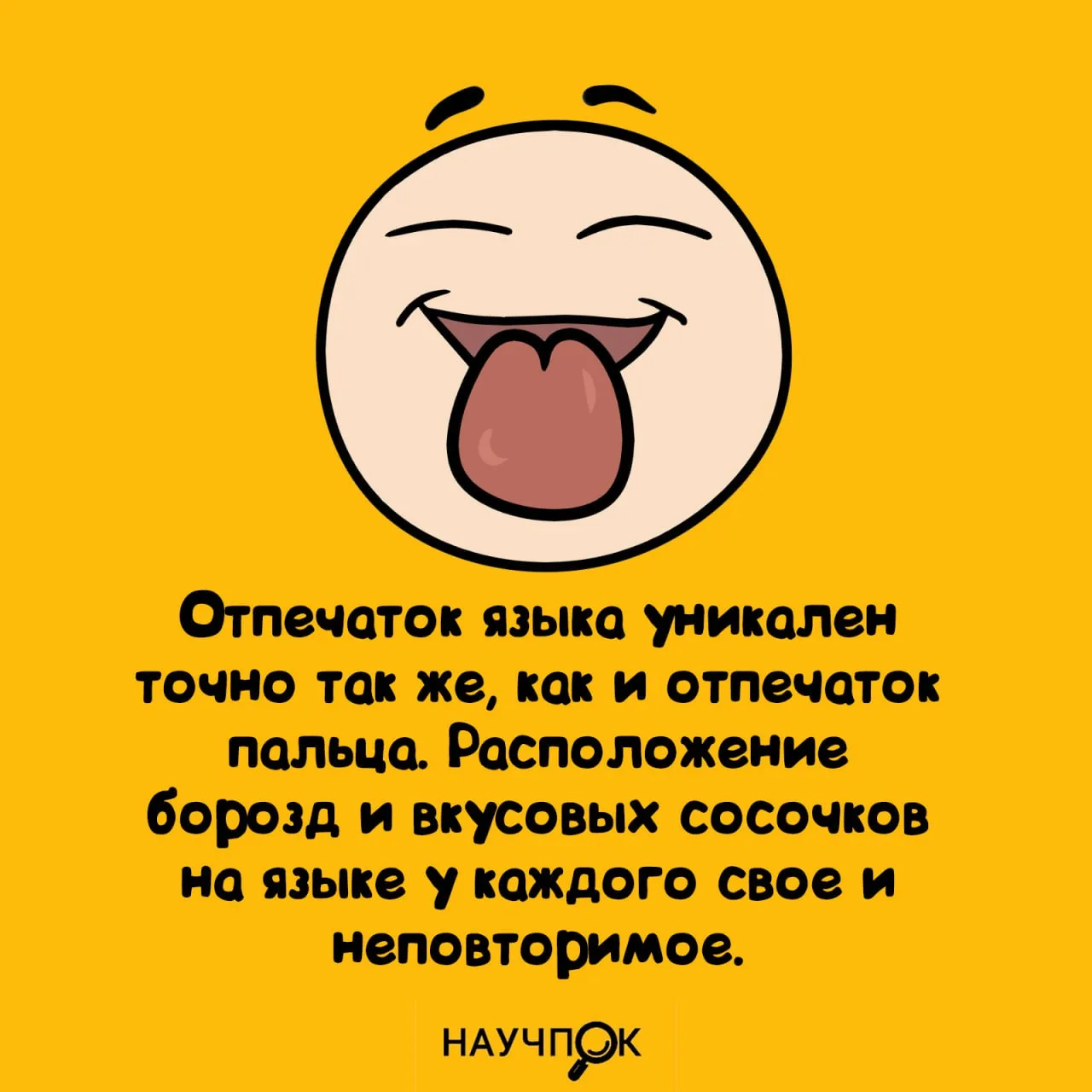 Научпок | Подписаться