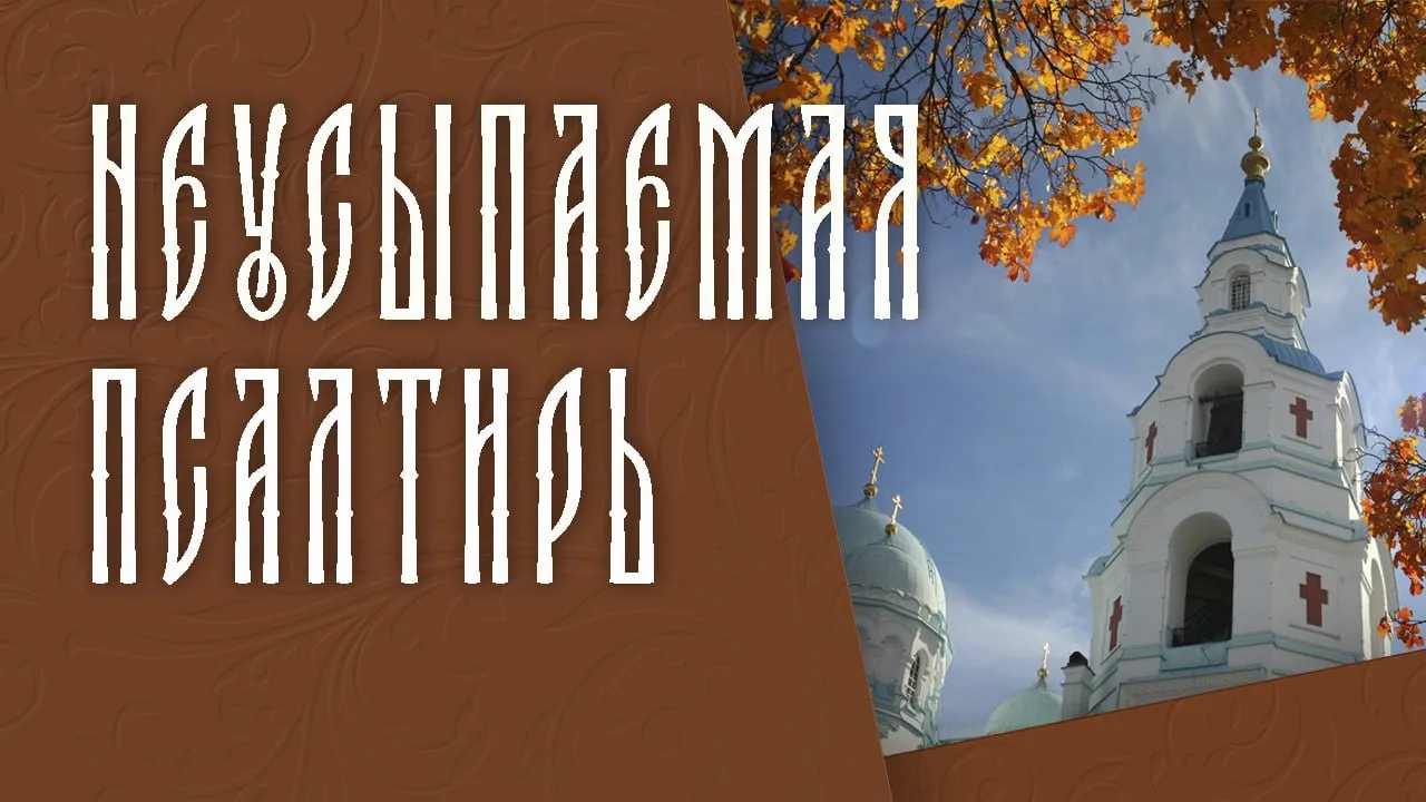 🔴 #ПрямаяТрансляция: RUTUBE | VK | YouTube | 30 IX 26 | 19:00