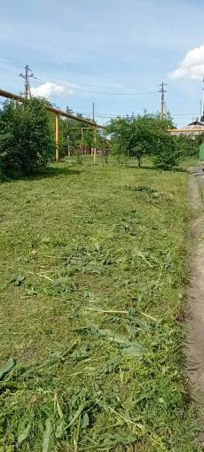 Покос по ул. Волгодонская продолжится 04.06.2026