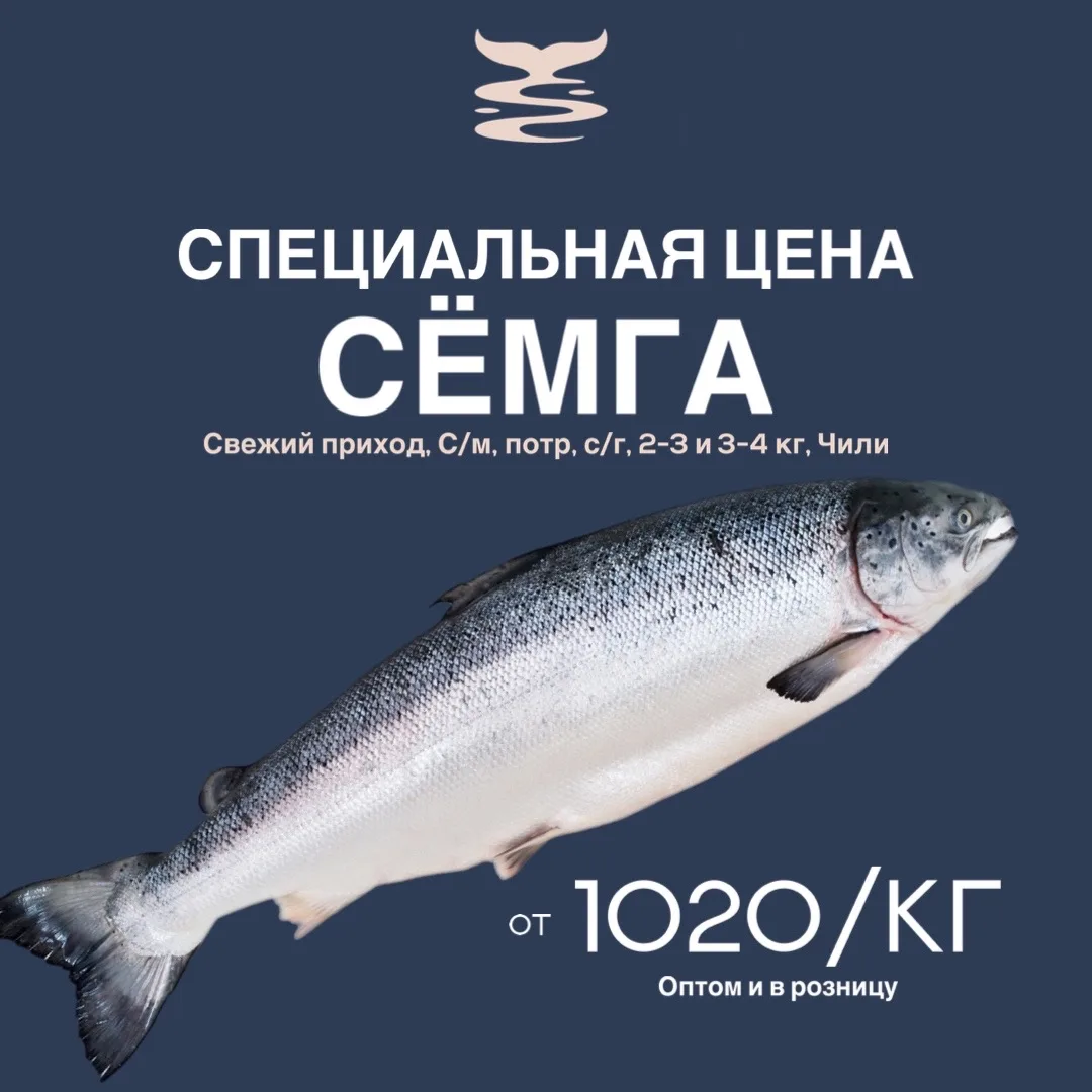 🔥 СПЕЦИАЛЬНАЯ ЦЕНА НА  СЁМГУ от 1020₽/кг
(С/м,потр, с/г, Чили). СВЕЖИЙ ПРИХОД. 
 Успейте купить по 