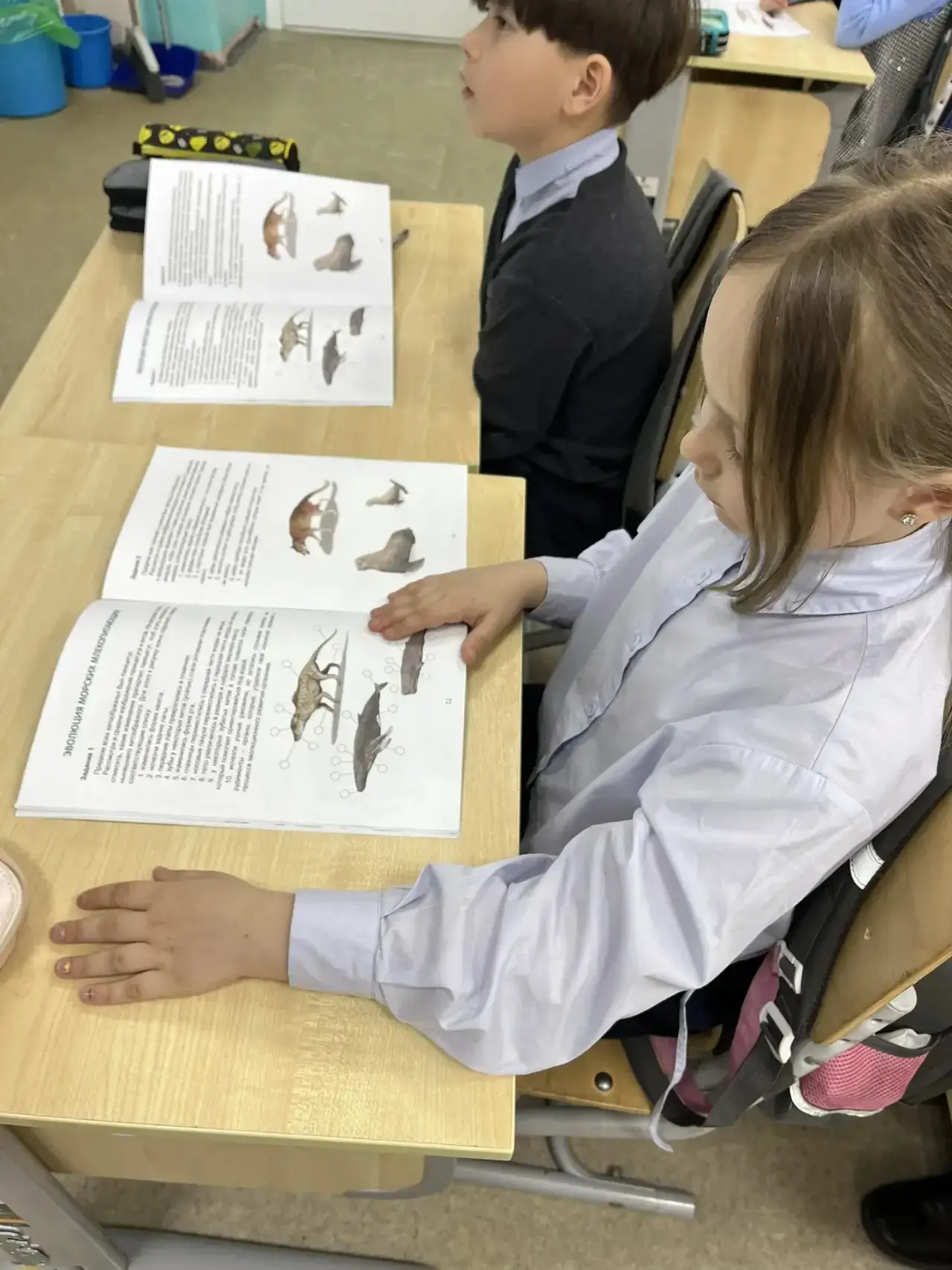 Сегодня 3 В класс отправился в удивительное путешествие!  🦭🐋🐬  Ученики погрузились в захватывающую т