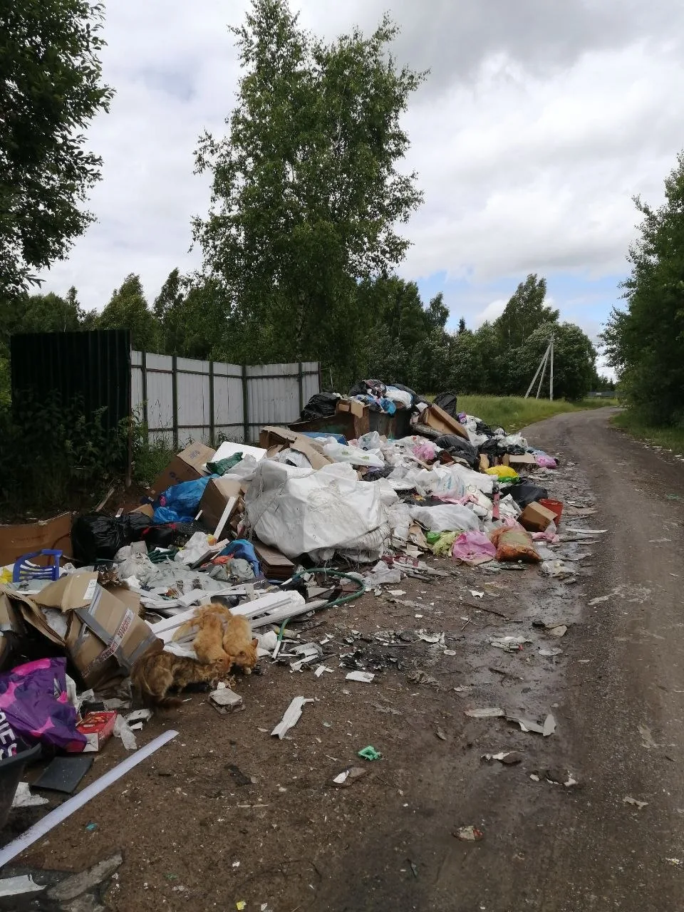 Нам в сообщения пришло гневное обращение жительницы деревни Нара Екатерины: