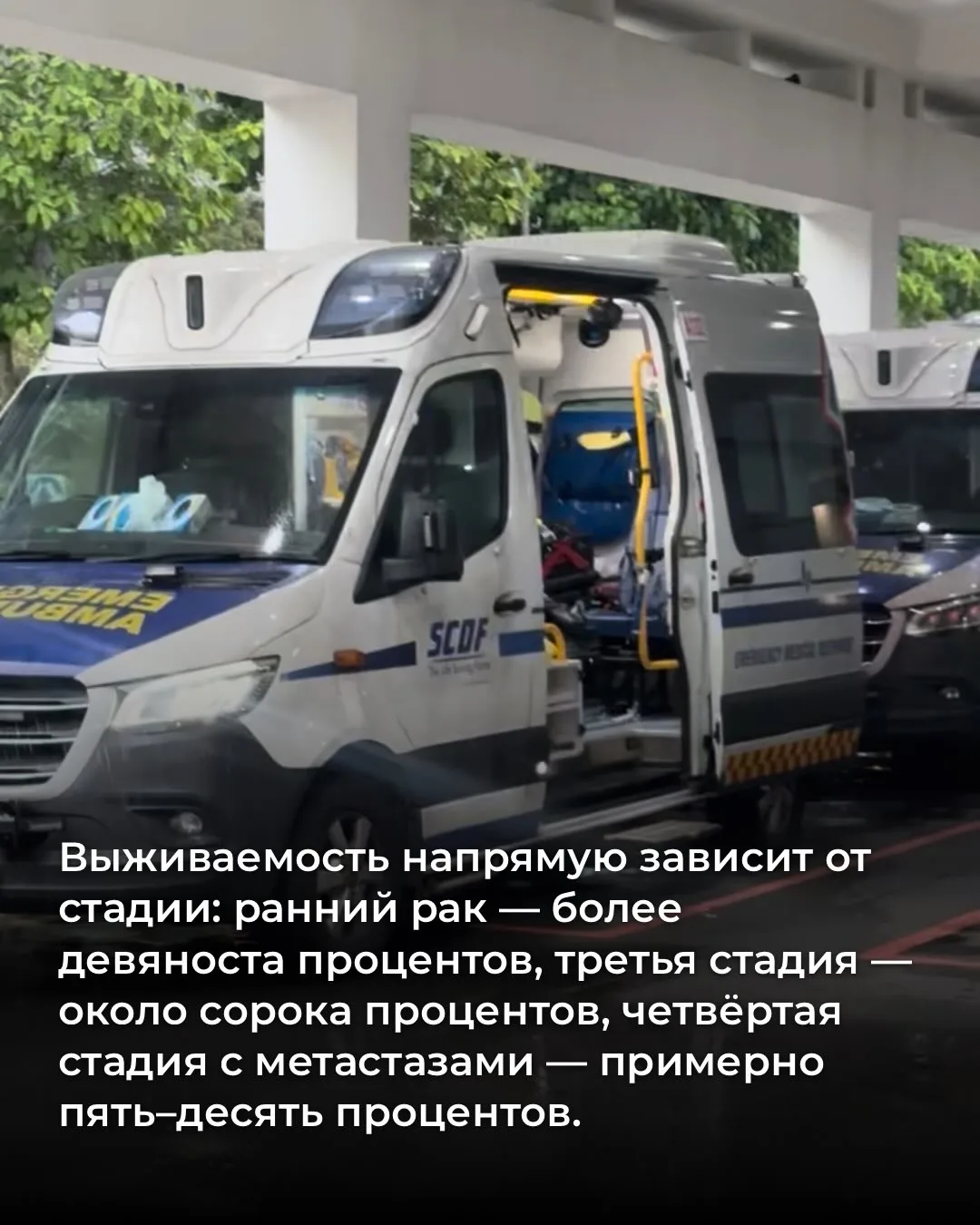 За последние 100 лет заболеваемость желудка снизилась почти в 5 раз. Виноваты в этом холодильники (с