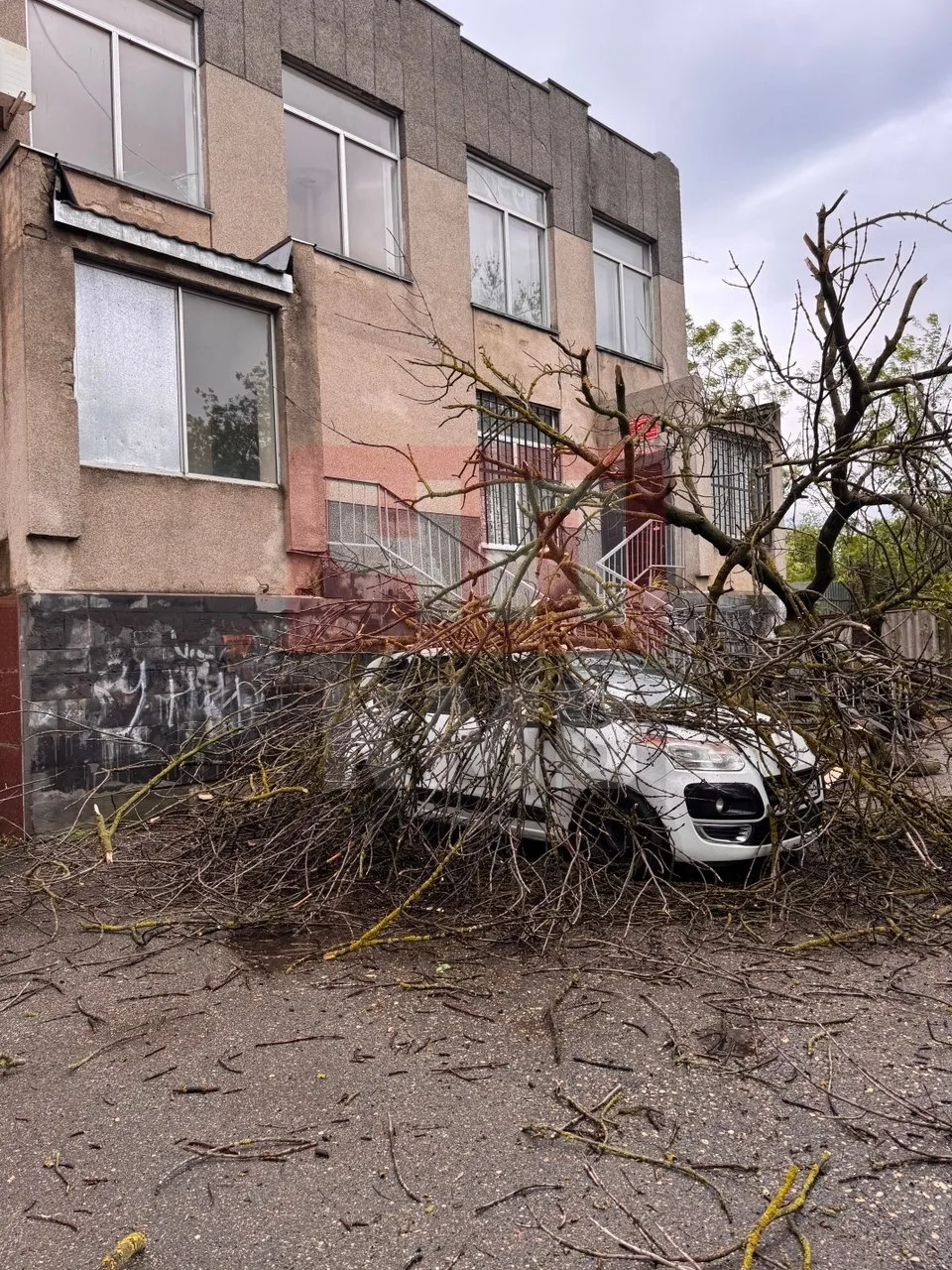 💨 Жители КМВ делятся фотографиями последствий разгулявшейся стихии ЖД библиотека, дерево упало от по