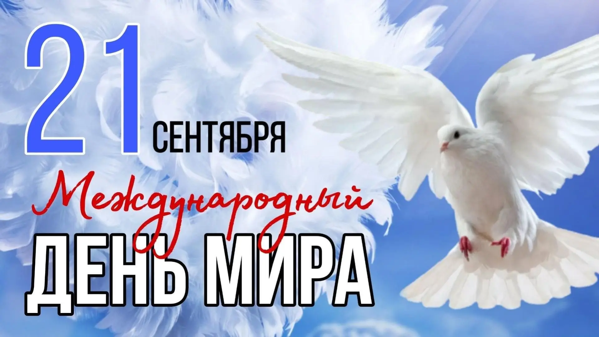 ⚡Дети  МБДОУ "д/с" Аленушка" РМ, Чамзинского района, с. Апраксино  приняли участие в ме...