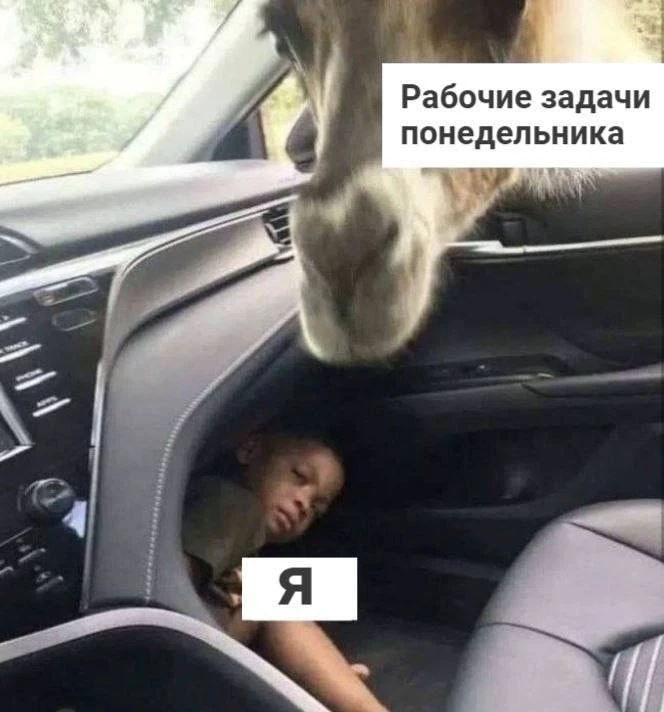 Доброе утро ☀️