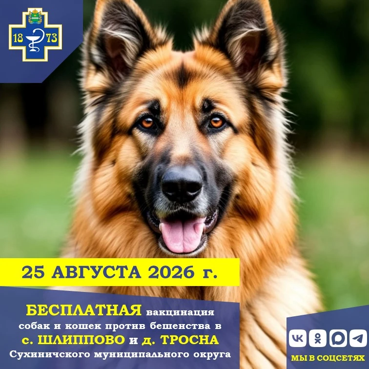 💉 БЕСПЛАТНАЯ вакцинация собак и кошек против бешенства 25 АВГУСТА 2026 г.