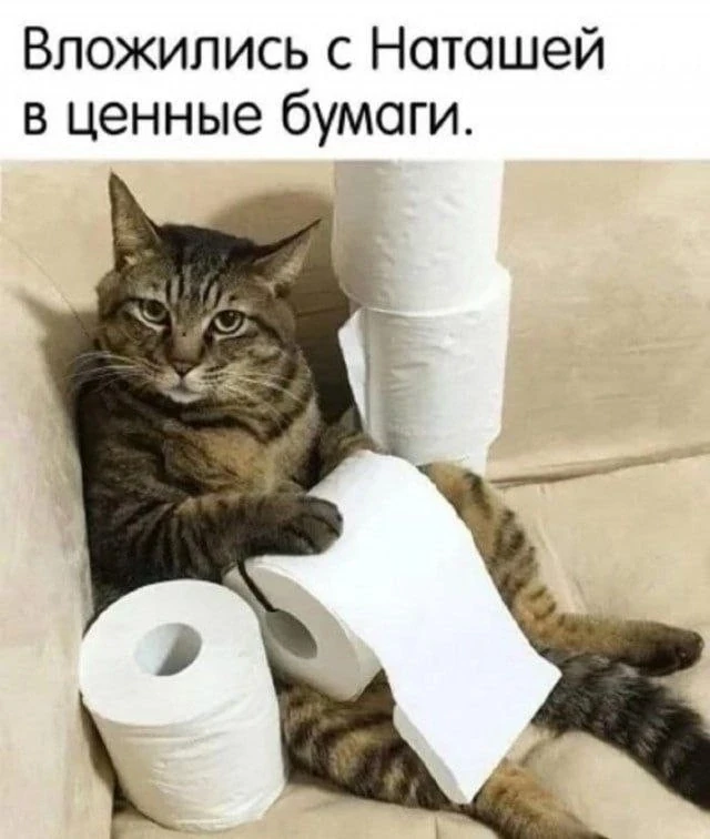 Приколы