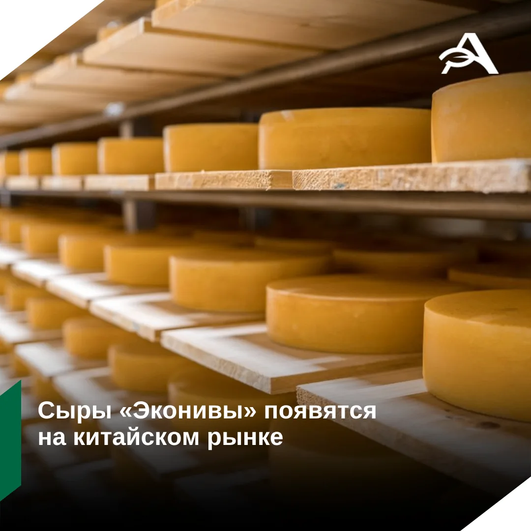🧀 «Эконива» выходит на китайский рынок с сырами

Сыродельный завод ГК «Эконива» в Воронежской облас