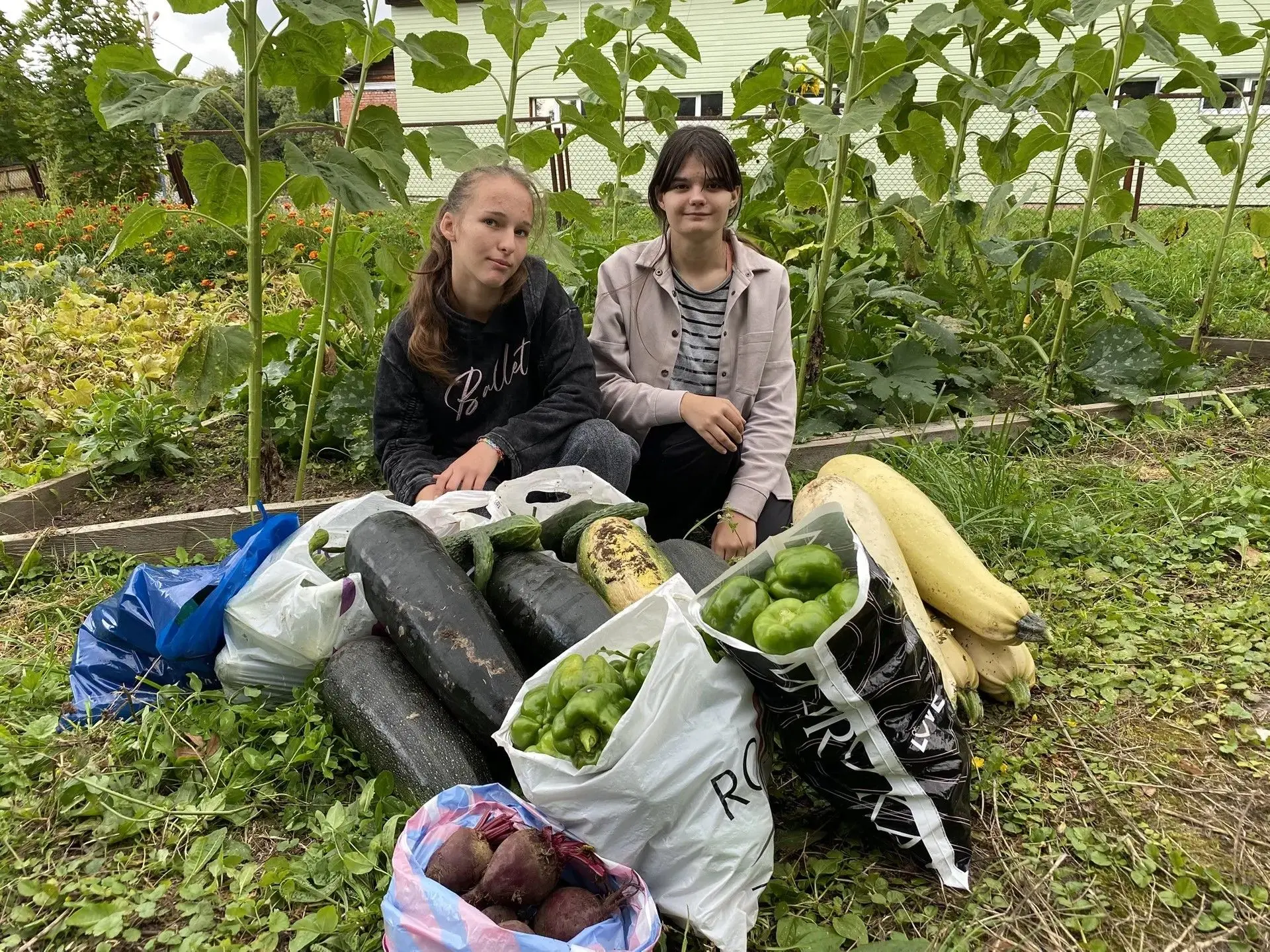 🌾Время собирать урожай!