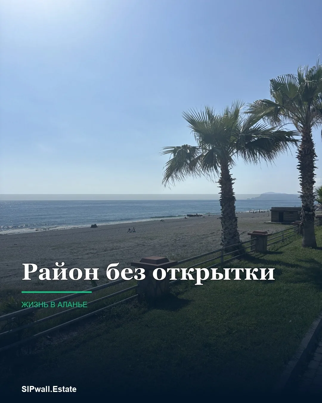 🌴 Район у моря — это не только вид из окна и фотографии заката.