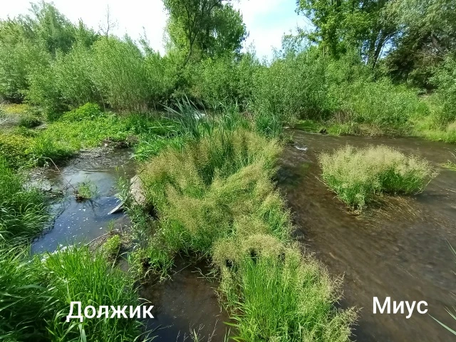 Всем здравствовать!  Сегодня все пошло не по плану. Вознамерился я наведаться к  своим старым кварце