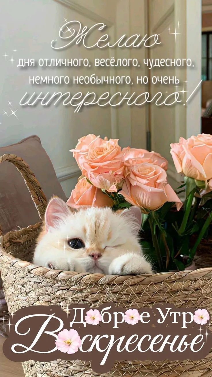 Рай открыток | Открытки 🥰
