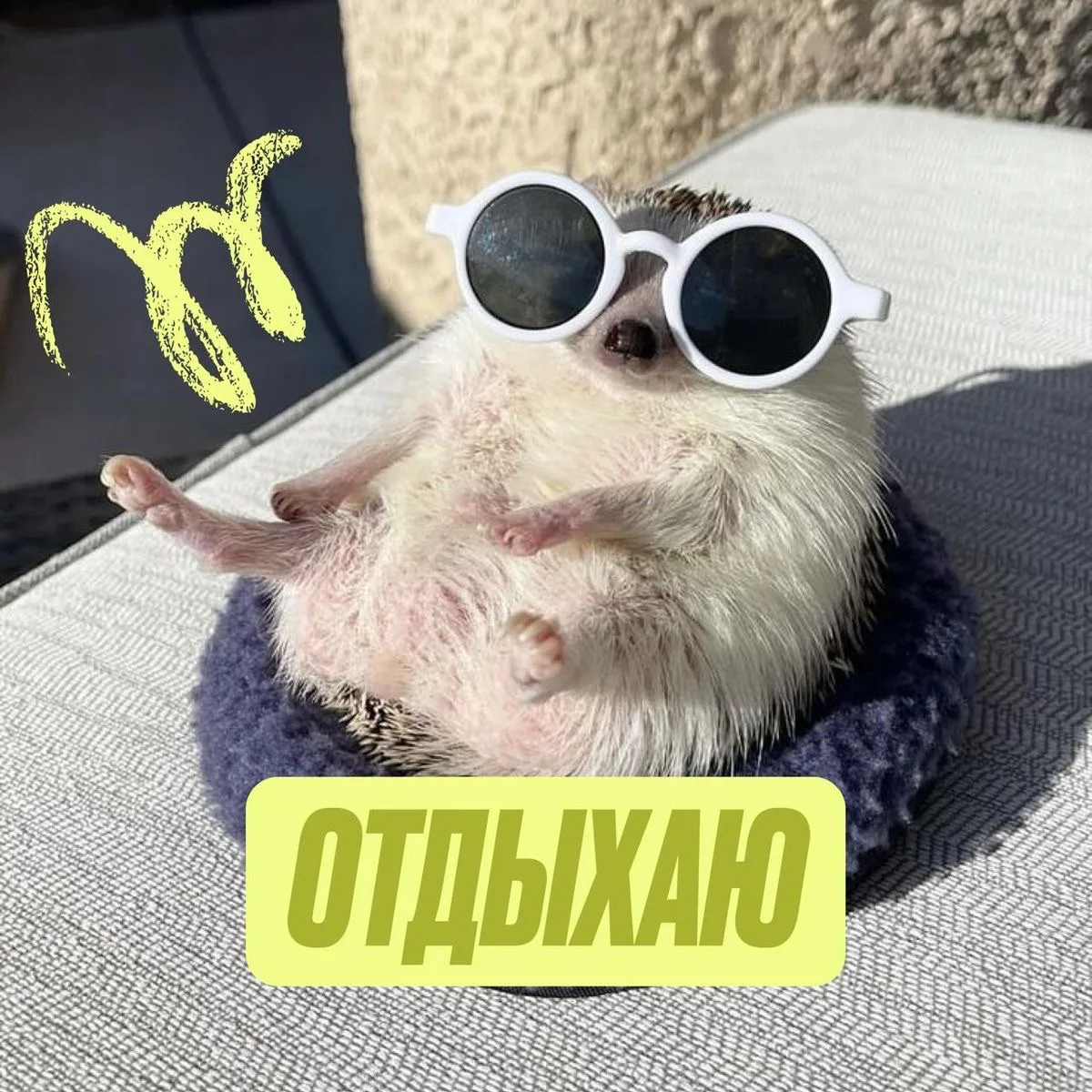 ☀️ В регион пришло бабье лето