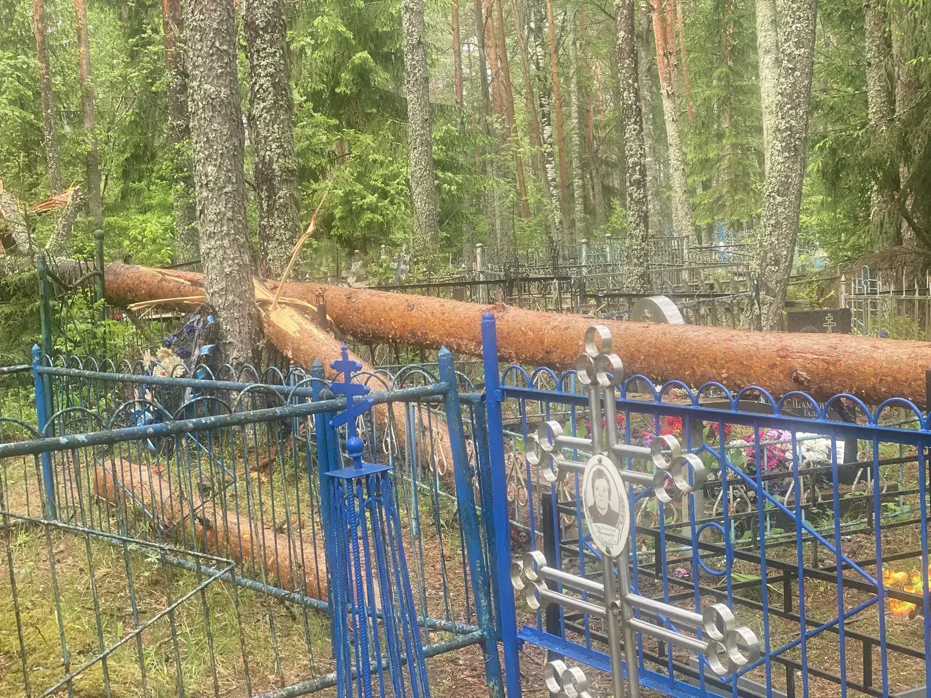 "В результате неблагоприятных погодных условий (сильный ветер) на кладбищах д.Мотохово Пчевского СП,