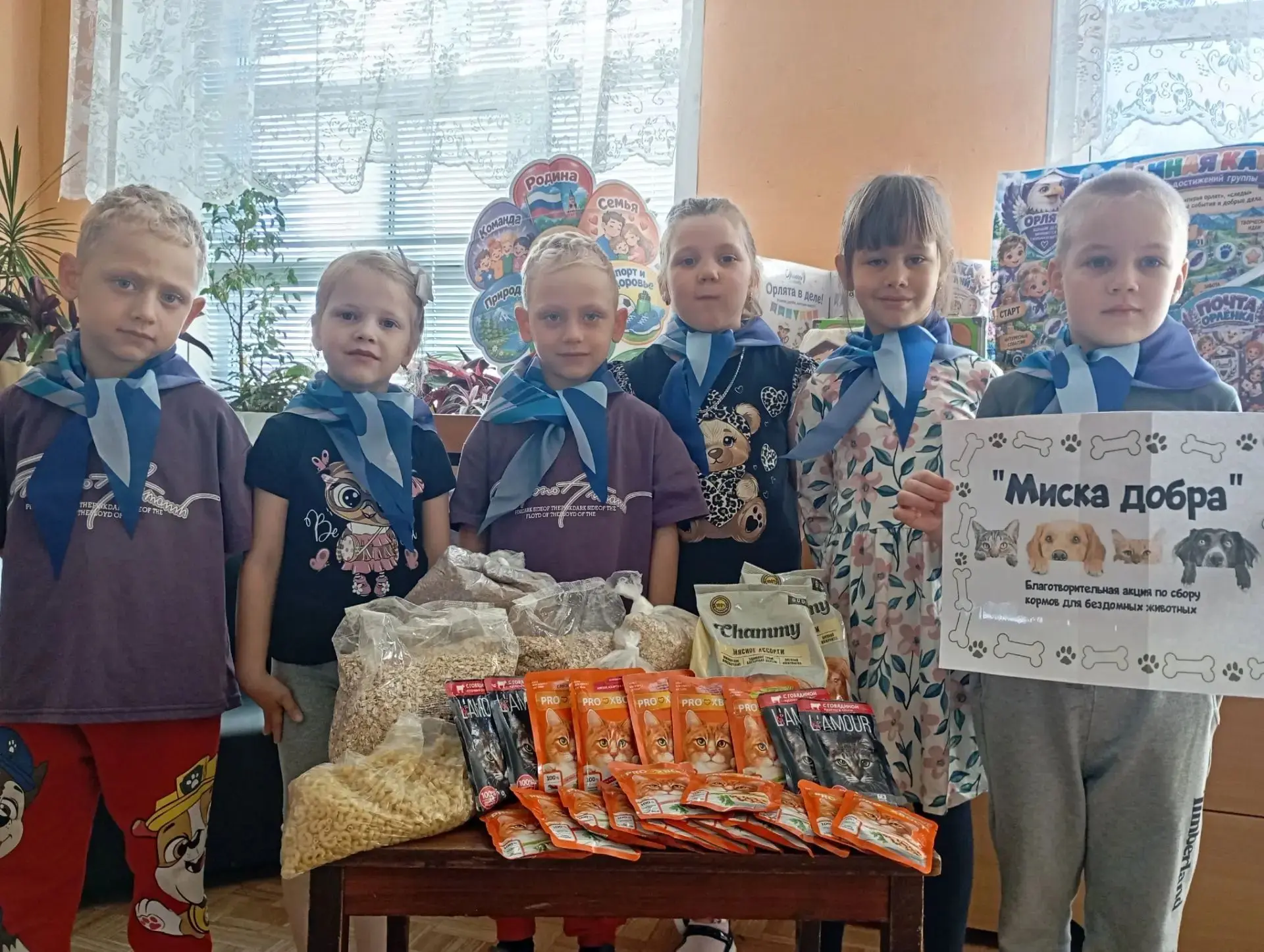 «Миска добра» в детском саду «Ромашка»!