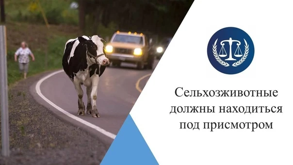 Уважаемые жители сельского поселения! Сельскохозяйственные животные, оставленные владел...
