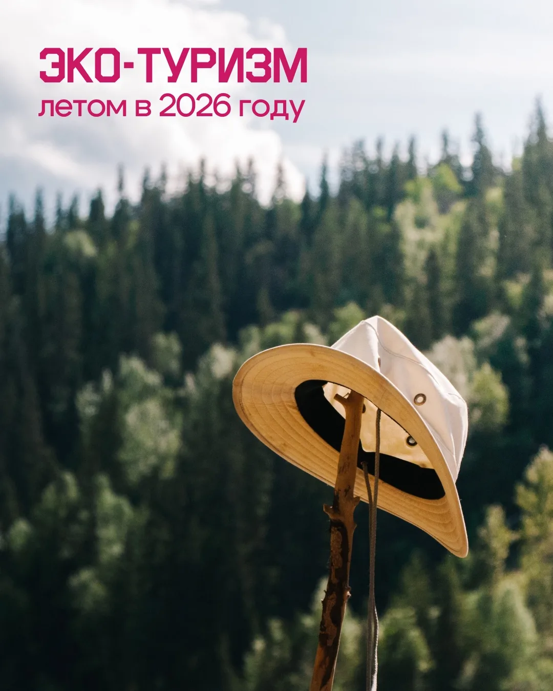 А вы знали, что можно отдохнуть так, чтобы после вас природа стала даже чище? 🌿

Мы отобрали 5 напр