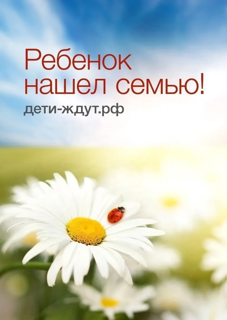 🏡 У нас замечательная новость - Максим и София обрели семью!