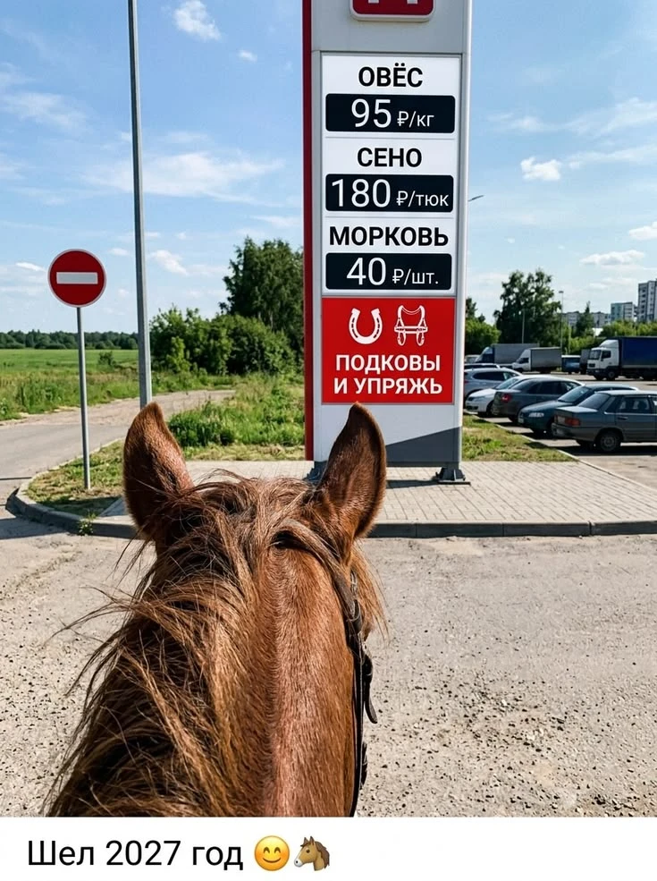 Наличие топлива на заправке 😁