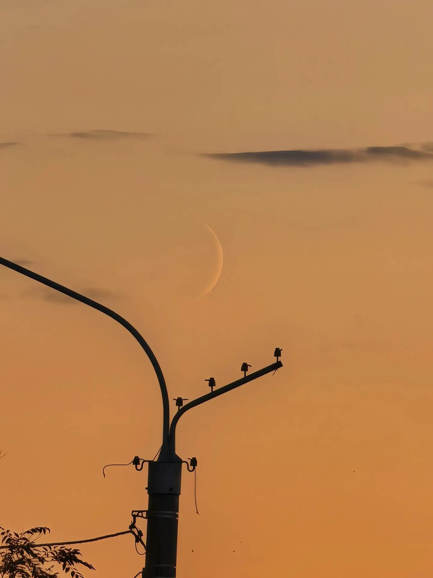 Спокойной ночи 🌙
