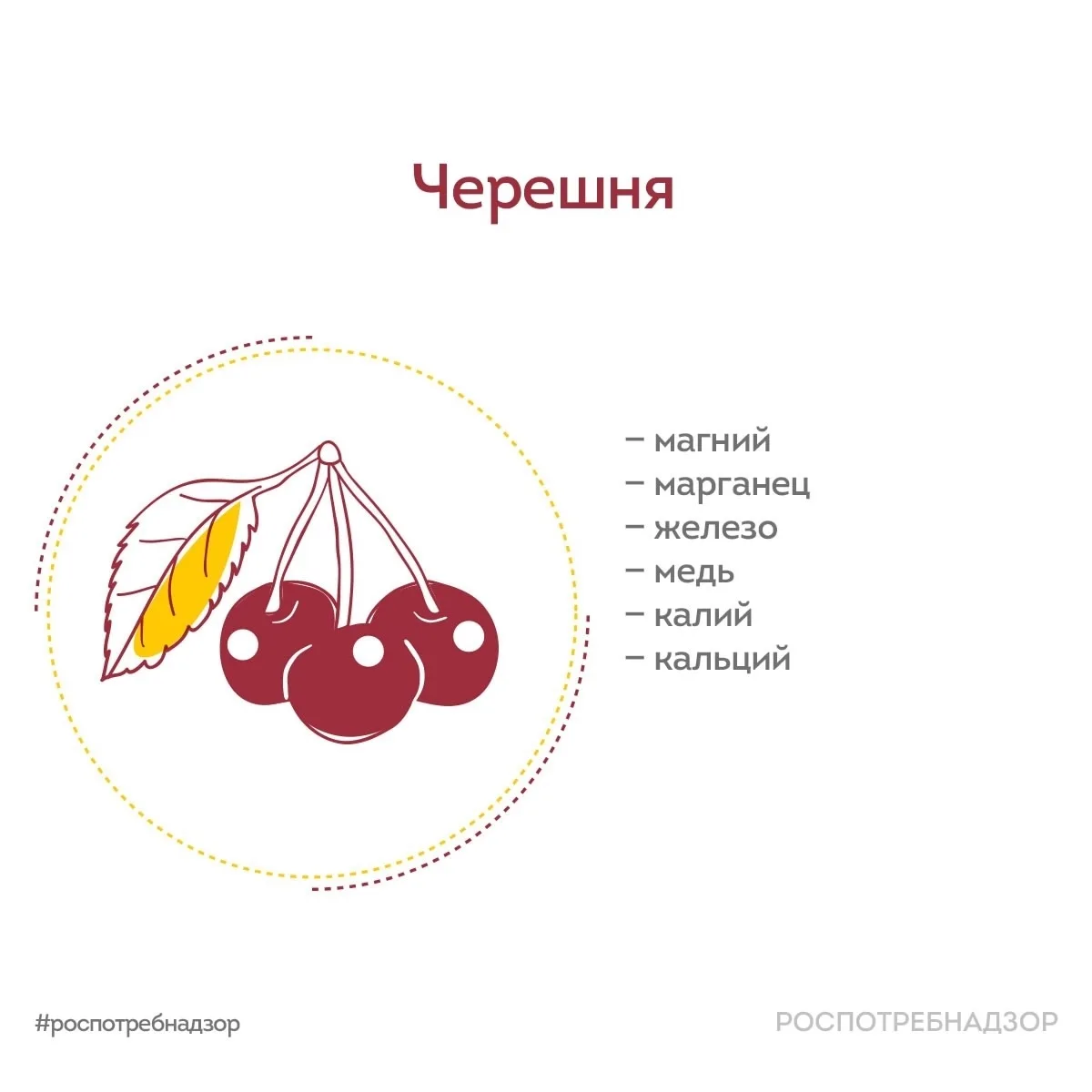 Балтийская Жемчужина | Автово | Нарвская | Санкт-Петербург🏡

Ягоды июня 🍒 
 
Рынки и магазины пере