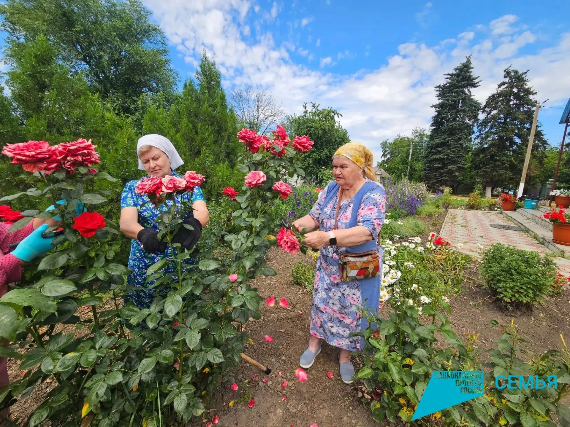 ✅Путь волонтеров к светлым и добрым делам