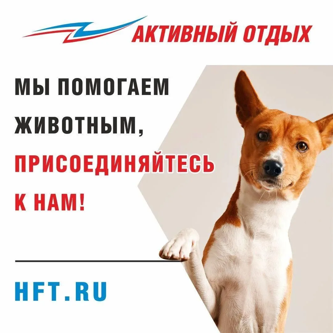 ⚡️Дорогие подписчики!⚡️
