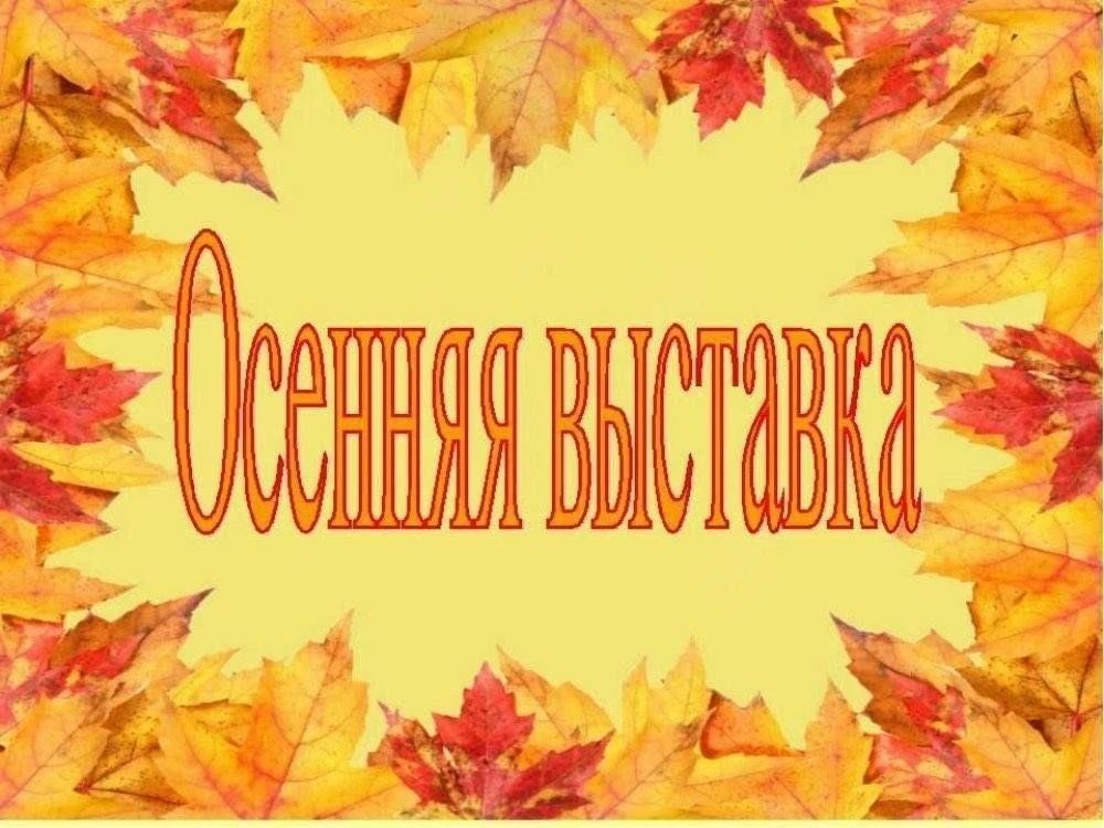 Добрый день!