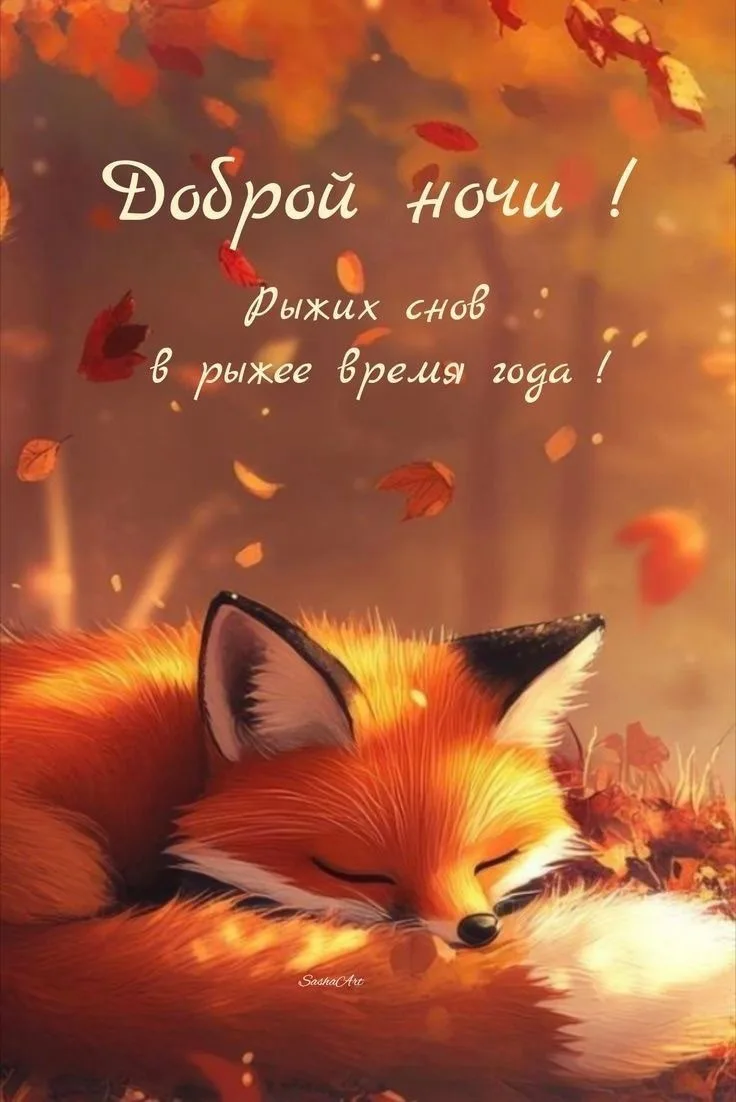 Красивые открытки❤️