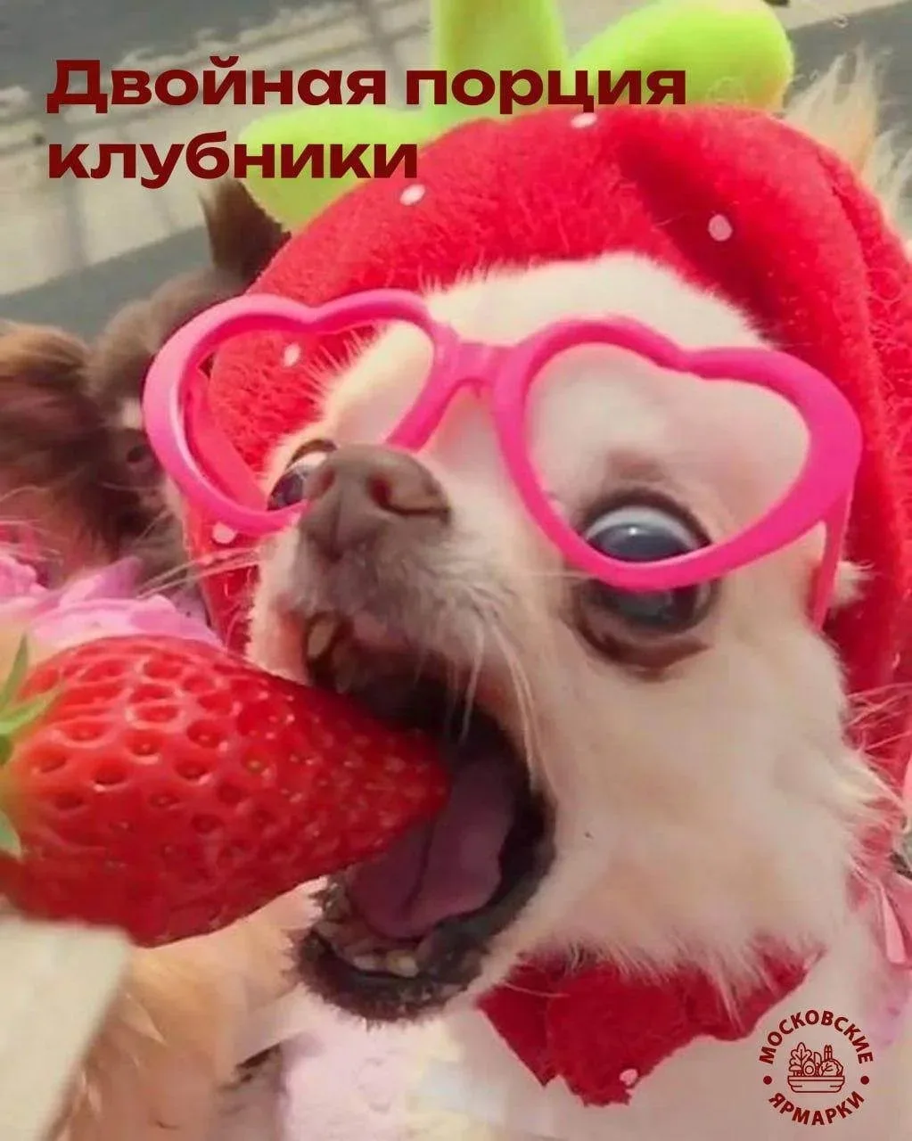🍓 Ещё больше клубники!

🤩 Сезон клубники набирает обороты! С начала лета на московских ярмарках ку